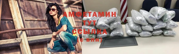 трава Аркадак