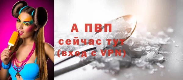 ешки Няндома