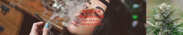 трава Аркадак